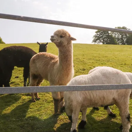 Limestone Holiday home