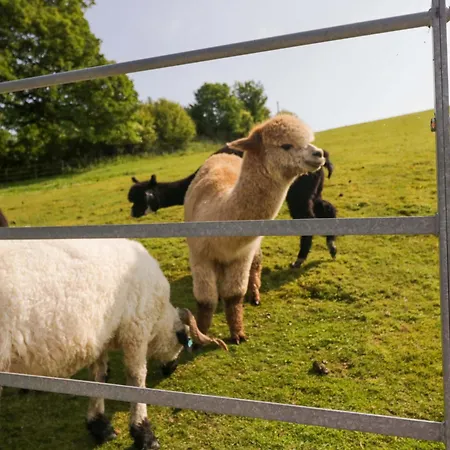 Holiday home Limestone Ulverston