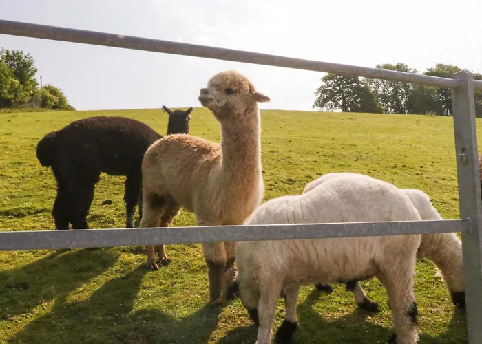 Limestone Holiday home