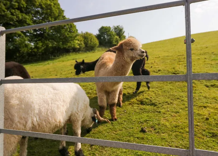Holiday home Limestone Ulverston
