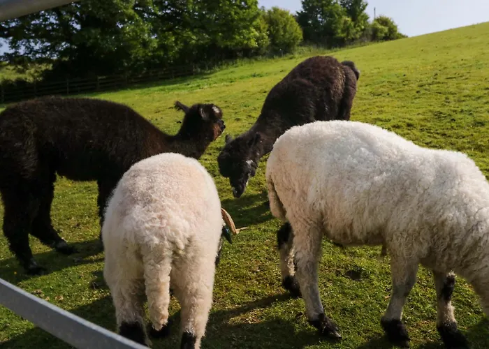 Limestone Holiday home